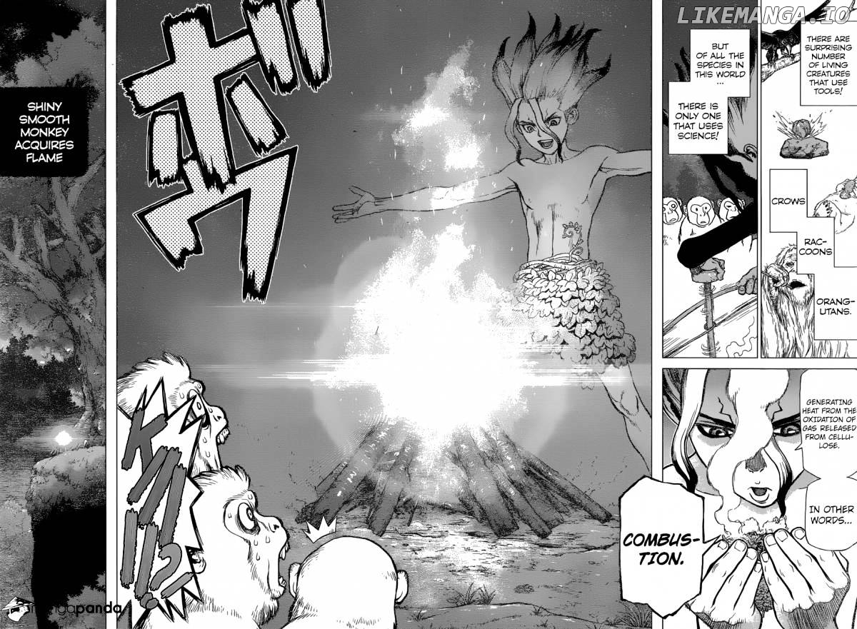 Dr.Stone Chapter 13 image 15